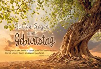 Faltkarte - Geburtstag Jer. 17,7 - Gottes Segen zum Geburtstag