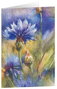 Kunstkarten \"Kornblumen\" 6 Stk.