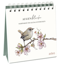 AugenBlicke - Aufstellbuch - Schönheit im Alltag entdecken
