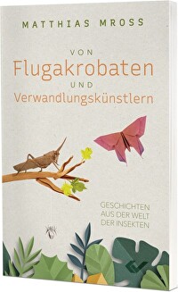 Von Flugakrobaten und Verwandlungskünstlern - Geschichten aus der Welt der Insekten