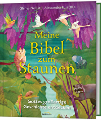 Meine Bibel zum Staunen - Gottes großartige Geschichte entdecken