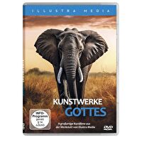 Kunstwerke Gottes - 9 großartige Kurzfilme aus der Werkstatt von Illustra Media