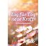 Produktbild (Vorschau)