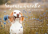 Faltkarte \"Segenswünsche zum Geburtstag\" - Hund