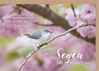 Faltkarte \"Gottes Segen zum Geburtstag\" - Vogel - Alle, die zu ihm aufschauen, werden strahlen vor Freude! Psalm 34,6