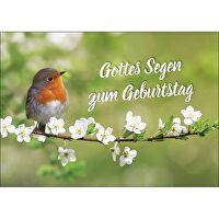 Postkarten: Gottes Segen zum Geburtstag, 4 Stück