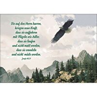 Postkarten: Die auf den Herrn harren, 4 Stück