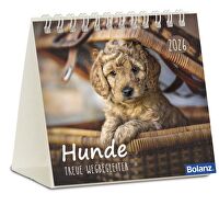 Hunde 2026 - Minikalender - Treue Wegbeleiter