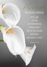 Faltkarte \"Abschied - Herzliches Beileid\"