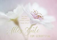 Postkarten \"Alles Gute zum Geburtstag\" - Blüte 12 Stück - Psalm 121,3