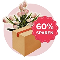 Überraschungspaket Romane 2026 - 5 Romane im Wert von über  70 für nur  29,&ndash;