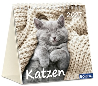 Katzen 2027 - Tischkalender