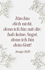 Produktbild (Vorschau)