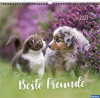 Beste Freunde 2027 - Posterkalender - Ich mag dich