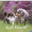 Produktbild (Vorschau)