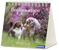 Begegnungen 2027 - Minikalender - Dich vergess ich nie