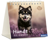 Hunde 2027 - Minikalender - Treue Wegbegleiter