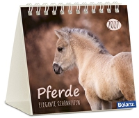 Pferde 2027 - Minikalender - Elegante Schönheiten