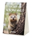 Produktbild (Vorschau)