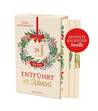 Entführt im Advent - kein Krimi - Adventskalendernovelle