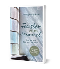 Fenster zum Himmel - Unerwartete Aus- und Einblicke auf alltägliche Erlebnisse mit Gott