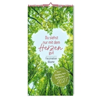 Du siehst nur mit dem Herzen gut 2027 - Faszination Bäume - Der Postkartenkalender
