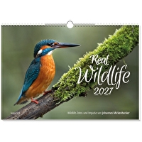 Real Wildlife 2027 - Wandkalender - Wildlife-Fotos und Impulse von Johannes Mickenbecker