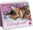 Produktbild (Vorschau)