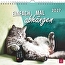 Produktbild (Vorschau)