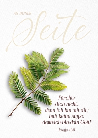 Jahreslosung 2027 - Postkarten \"Zweig\" 12 Stück - Fürchte dich nicht, denn ich bin mit dir; hab keine Angst, denn ich bin dein Gott. Jesaja 41,10