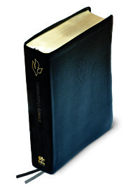Stamps Studienbibel - Leder, schwarz